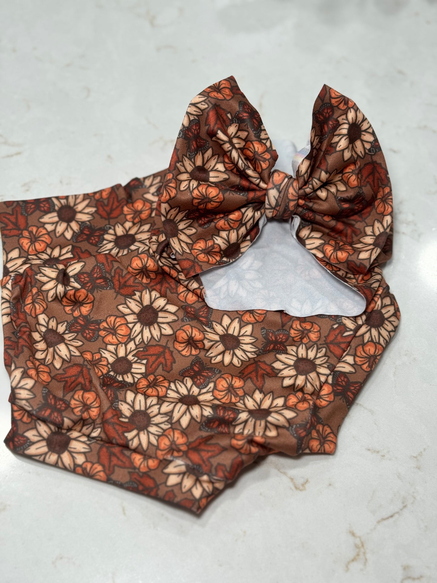 Pumpkins and Butterflies